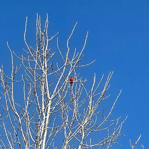 Meet your Posher, Valerie